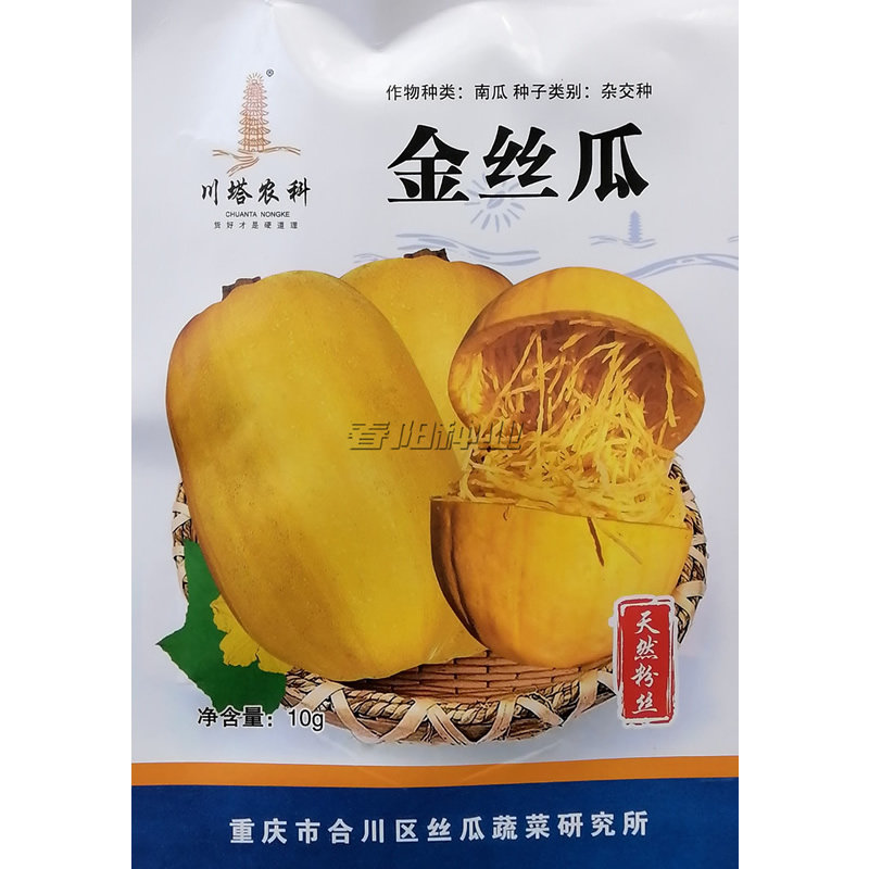 杂交金丝瓜种子金丝搅瓜绞瓜早熟高产抗病耐寒南瓜种籽天然粉丝瓜