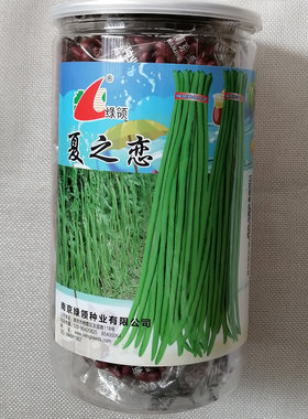 绿领夏之恋豆角种子商品顺直略粗