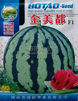 金美都西瓜种子新选育圆形