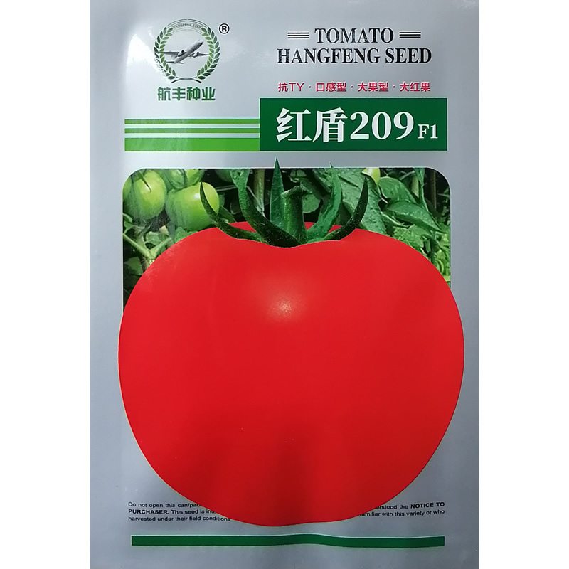 红盾209高秧大红番茄种子