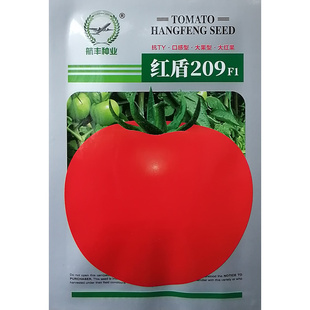 红盾209高秧大红果番茄种子西红柿种籽抗病口感优秀耐裂早熟硬果