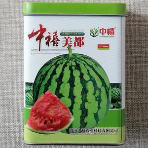 中禧美都西瓜种子中早熟高产