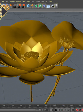 C4D3D金色莲花荷花莲蓬模型有动画含材质学习交流素材不错哦