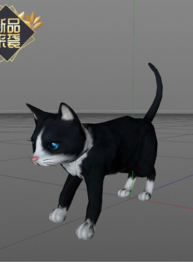 C4D黑色猫咪骨骼绑定多组动画含材质贴图学习交流参考用很不错哦