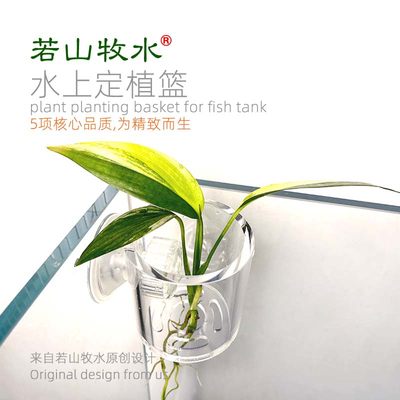 若山牧水定植篮水培植物杯