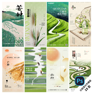 F64-芒种海报24节气二十四传统小满麦穗农耕宣传地产插画PSD模板