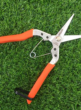 台湾原装开 拓者KT110修枝剪尖头果树剪手剪园艺小剪刀老人头摘果