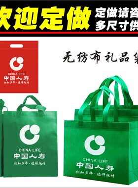 中国人寿无纺布保险单会议手提袋