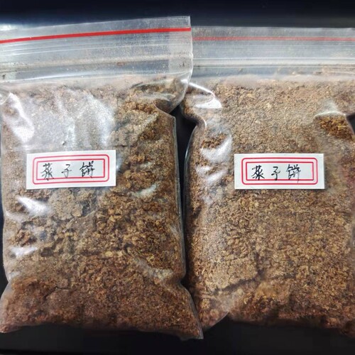 水生花卉阳台碗莲南京艺莲苑夏季