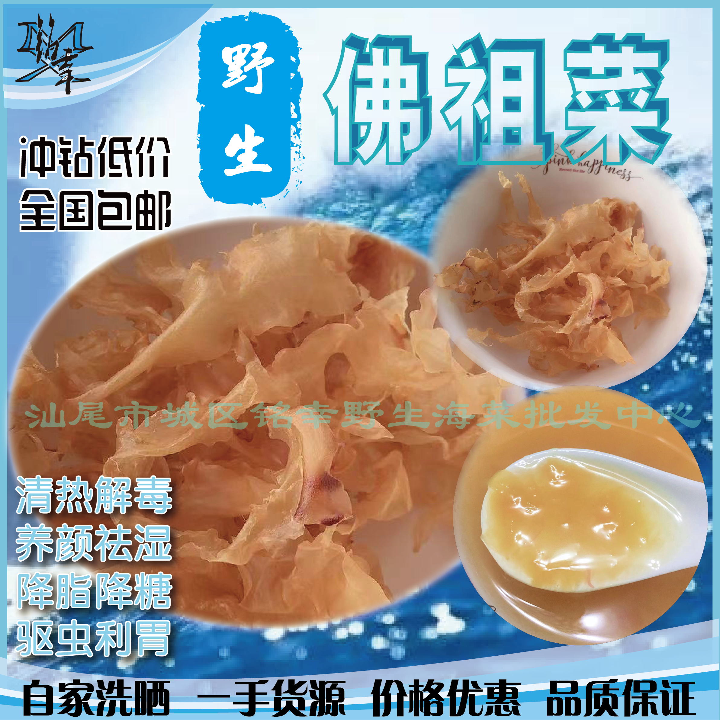网红野生佛祖菜汕尾特产美颜养胃海藻面菜粿菜海燕窝水产干货