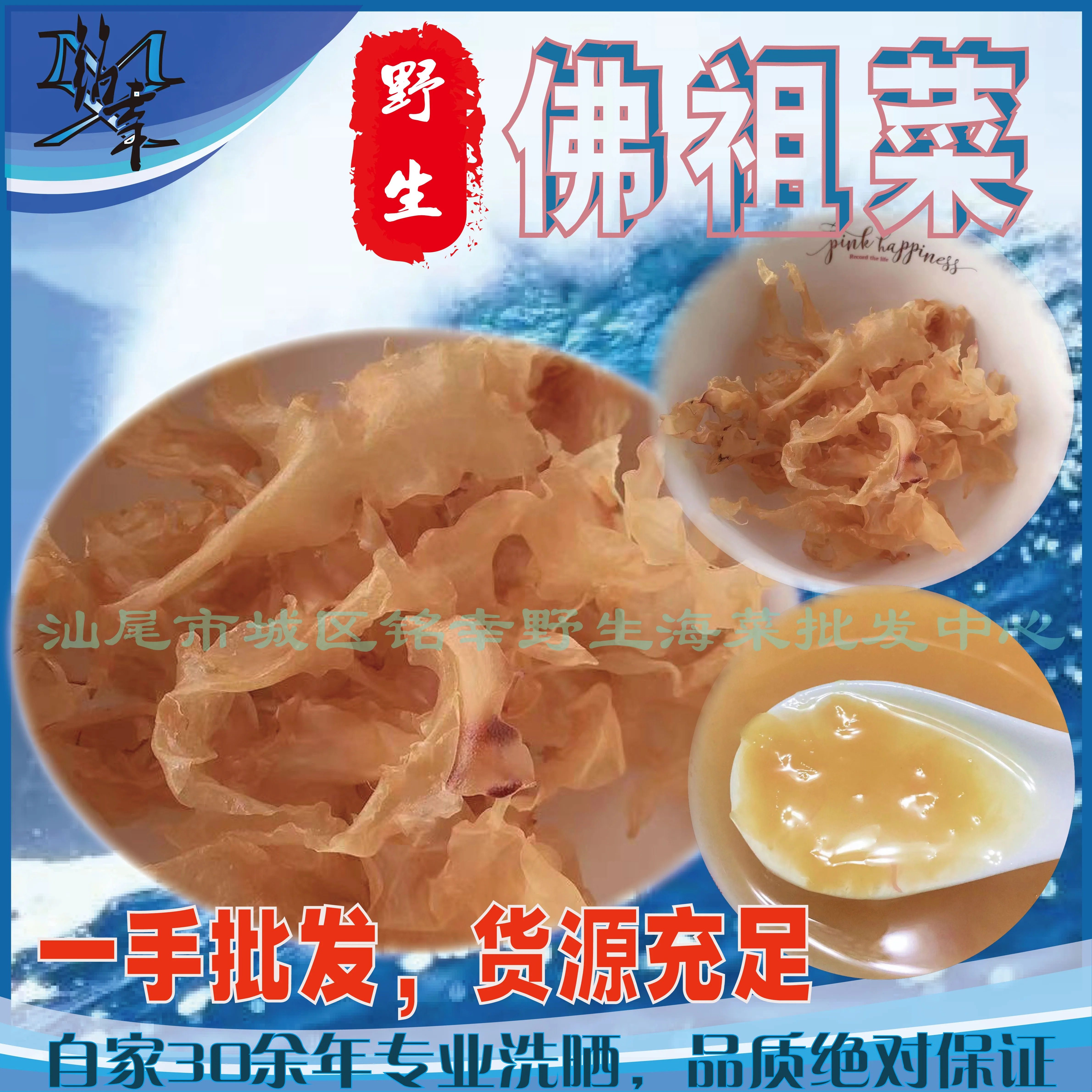 批量佛祖菜汕尾特产养生美颜海藻面菜海底燕窝散装水产干货海燕窝