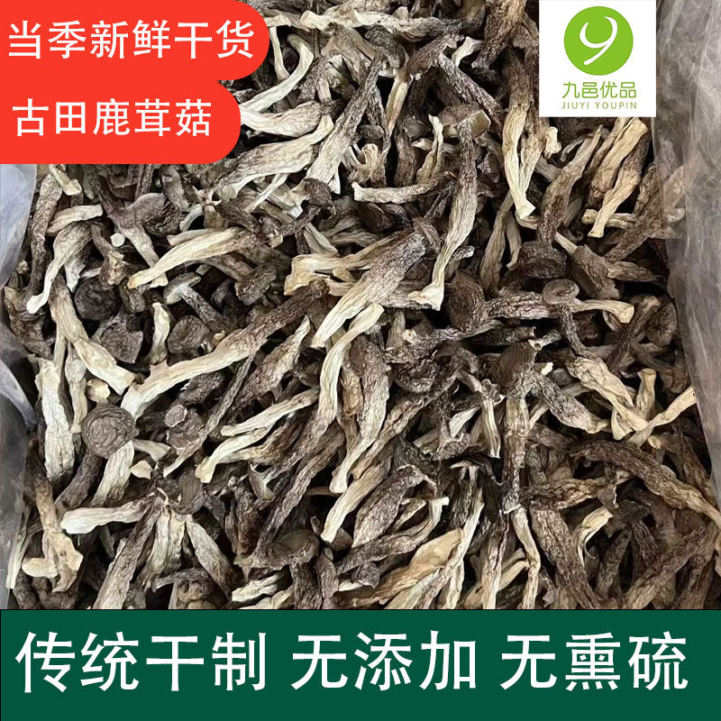 鹿茸菇干货鹿茸菌非特级野生脆脆菇蘑菇干煲汤新货无熏脆姑蘑500g