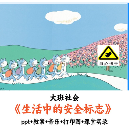 幼儿园大班社会《生活中的安全标志》PPT教案打印图课堂实录优质