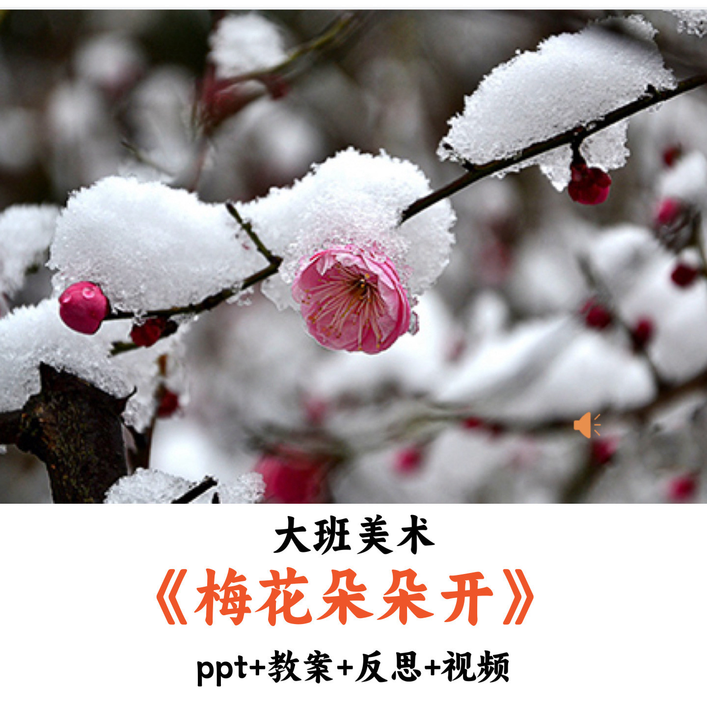 幼儿园大班美术《梅花朵朵开》PPT教案反思视频优质公开课