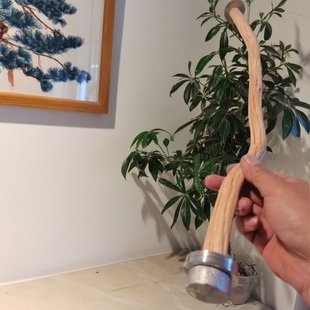 达洋B5001笼内站杆野梨木站杆两头固定原木双头站杆通用优嗖480