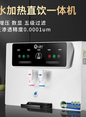 反渗透8寸霖思源B10语音播报净水器加热一体机家用自来水过滤器