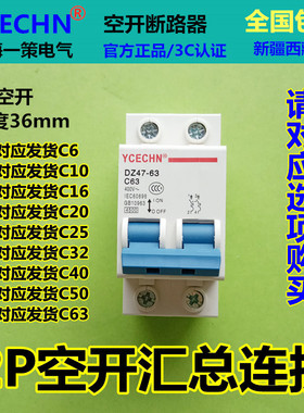 家用空开2P C63电闸总闸总开DZ47 63A双线空气开关断路器跳闸保护