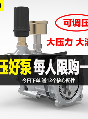 知舟XP2200柱塞泵100公斤级+液压增压泵家用洗车机泵加压力泵头