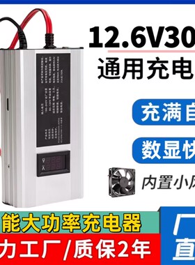 大功率数显12V三元聚合物锂电池充电器3串18650 12.6V10A20A11.1V