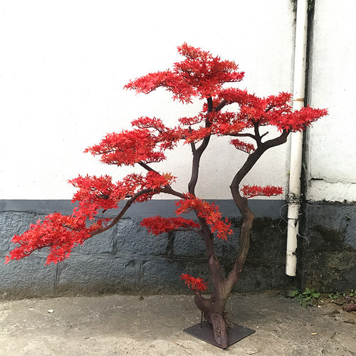 简约时尚风红枫庭院落地盆景橱窗