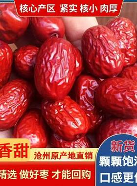 金丝小枣沧州特产红枣农家自产包粽子小红枣煲汤煮粥休闲零食红枣