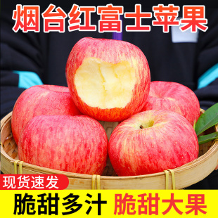 山东烟台红富士苹果生鲜水果新鲜应季 脆甜整箱