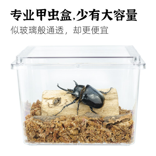 牧野虫社甲虫饲养盒透气高透防虫