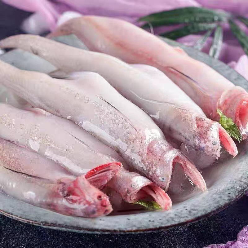 新鲜豆腐鱼台州东海捕新货鲜活龙头鱼水潺海鲜水产生鲜精品九肚鱼