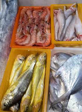 台州东海石塘小网海鲜家庭小套餐带鱼黄鱼鲳鱼龙头鱼虾水潺顺丰