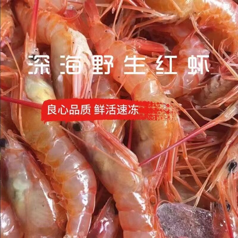 【鲜活发货】东海活虾鲜虾硬壳虾红落头虾管鞭虾海鲜水产批发3斤