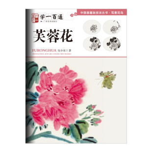 写意花鸟国画入门基础教程自学起步到精通写意画花鸟册页 中国画技法丛书 初学者画花卉鸟禽技巧解析 芙蓉花 学一百通