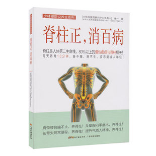 脊椎健康书 保养脊椎 脊椎自我保养 保健腰间盘突出颈椎病保健养生健康百科健身与保健 腰椎颈椎科学锻炼 脊柱正 保养脊柱 消百病