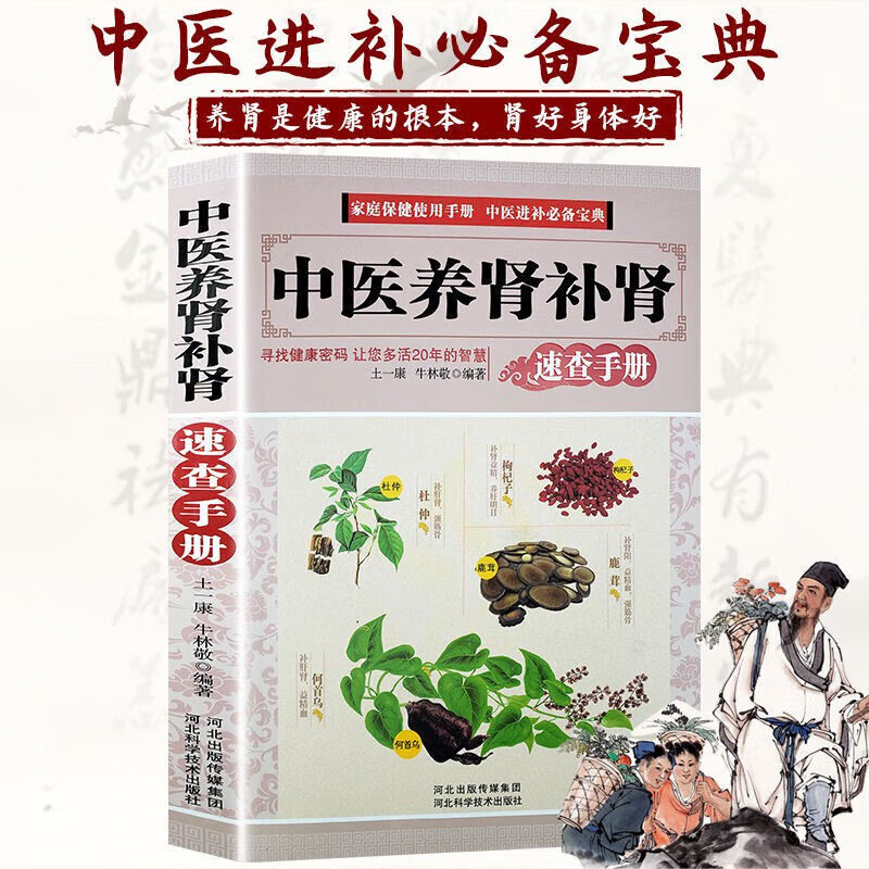 中医养肾补肾固本肾好不衰老饮食食谱药膳按摩推拿穴位图预防肾结石肾炎阳痿尿毒症痛风养肾补肾书籍中药材壮阳补肾中医养生大全书