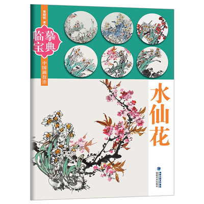 临摹宝典中国画技法 水仙花 国画写意画水墨画入门技法基础教程书籍 国画山水画绘画初学者动物禽鸟花卉蔬果临摹画册芥子园画谱