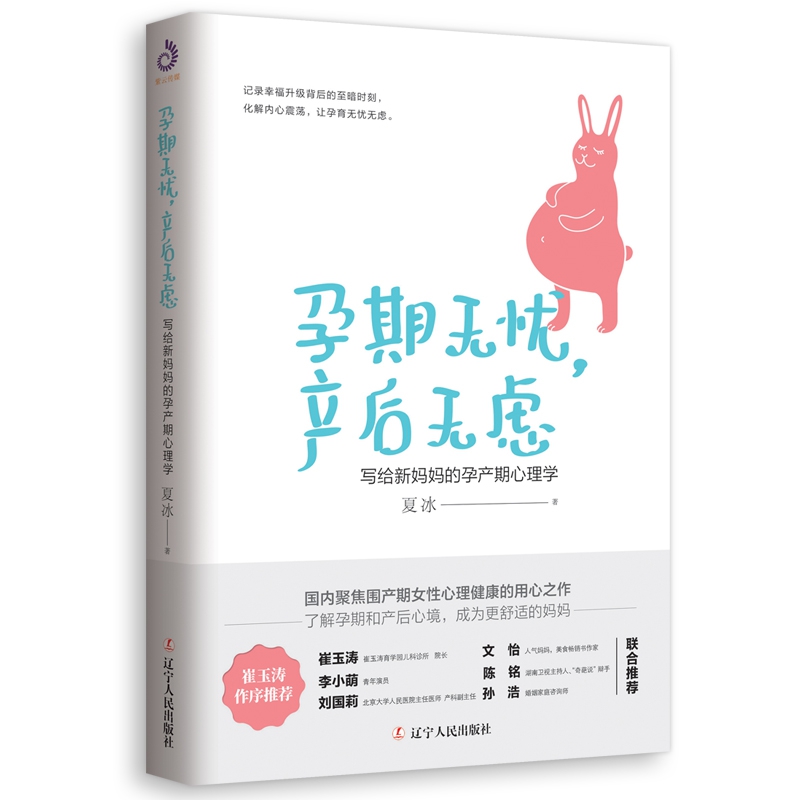 孕期无忧,产后无虑——写给新妈孕产期心理学 夏冰,正版书籍