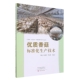 优质香菇标准化生产技术 林业畅销书图书籍 河南省四优四化科技支撑行动计划杜适普农业