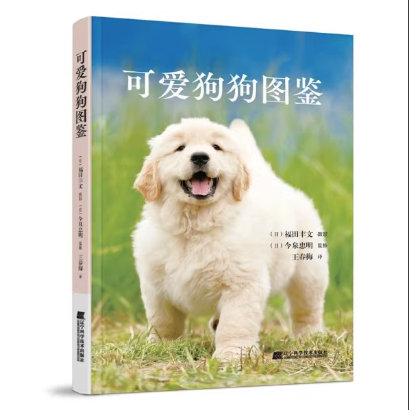 可爱狗狗图鉴 今泉忠明著王春梅译 狗狗品种大全名犬图鉴103种人气