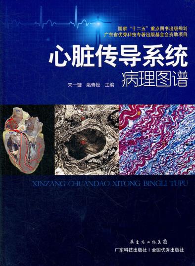 心脏传导系统病理图谱 宋一璇, 姚青松 正版 书籍