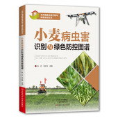 小麦病虫害诊断与防治 病虫害分布区域症状特点发生规律及绿色防控技术 小麦病虫害识别与绿色防控图谱 小麦栽培种植书籍