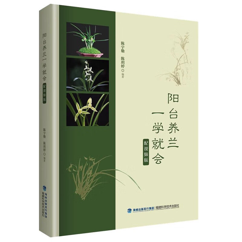 【附视频教程】阳台养兰一学就会 养兰从新手到高手 养兰书籍兰花 阳台养兰一学就会 配视频版