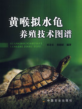黄喉拟水龟养殖技术图谱 张景春,张骏韬著 农业/林业 畜牧/狩猎/蚕/蜂 正版书籍