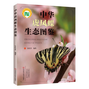 中华虎凤蝶生态图鉴 一本书 全面了解中华虎凤蝶