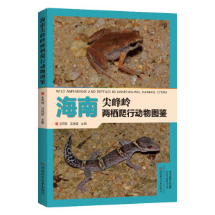 海南尖峰岭两栖爬行动物图鉴 收录了海南尖峰岭两栖爬行动物所有种类本书是一部识别海南尖峰岭两栖爬行动物的实用工具书