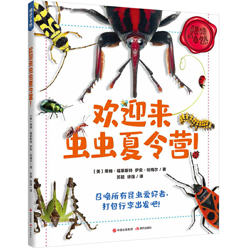 欢迎来虫虫夏令营! 【美】蒂姆·福莱斯特伊安·哈梅 著 苏靓 徐强 译 绘本