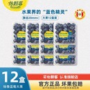 怡颗莓秘鲁蓝莓进口新鲜大蓝莓甜口孕妇宝宝辅食儿童可食用大果径