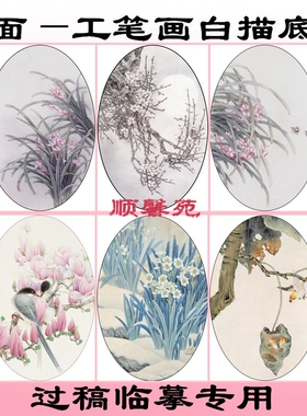 NT50花鸟工笔画白描线描底稿国画稿椭圆形扇面兰花梅花玉兰水仙