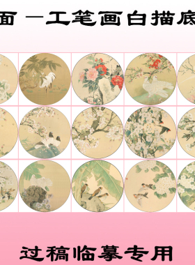 团扇工笔画白描底稿花卉线描