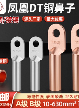 凤凰铜鼻子DT-16 25 95 120 240 线鼻子铜接线端子 铜线耳