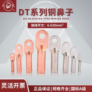 240电缆铜接头 凤凰A级铜鼻子DT 铜接线端子线耳