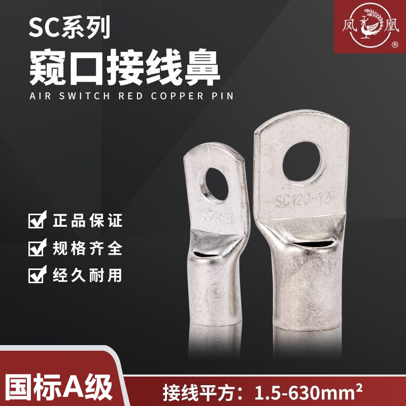 凤凰SC10163570120240